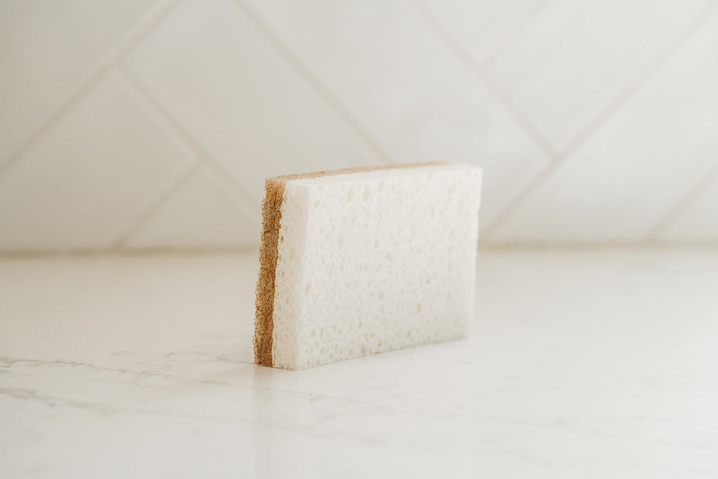 Biodegradable Sponges