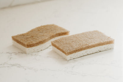 Biodegradable Sponges